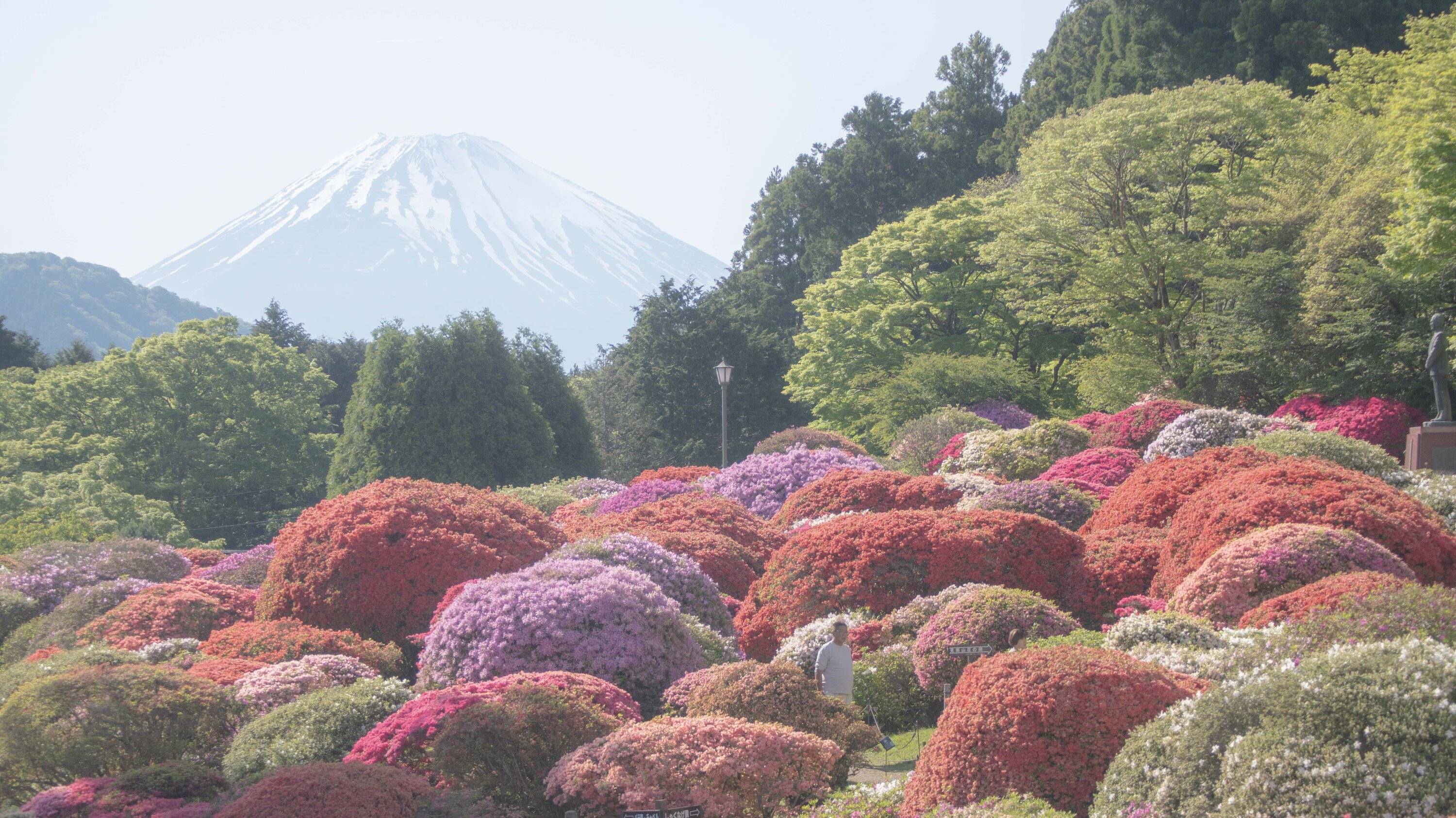 🏛️ 빛시 문화센터(히카리시분카센타) 이미지 6